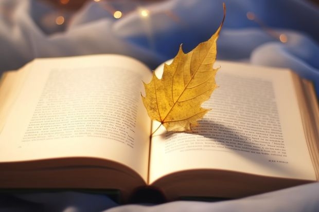 2025江西财经大学在四川招生计划一览表