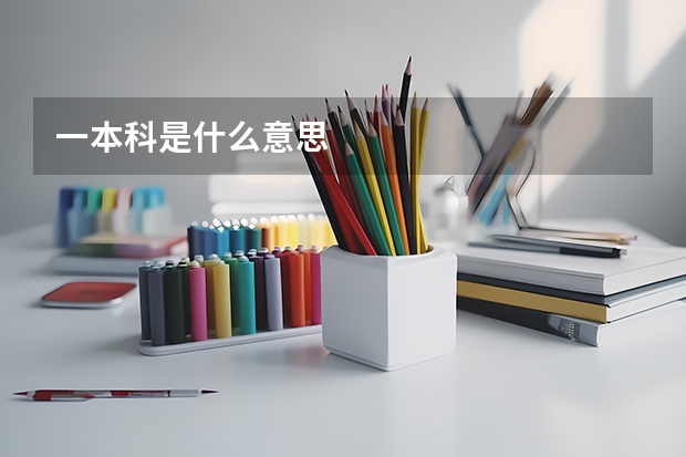 一本科是什么意思