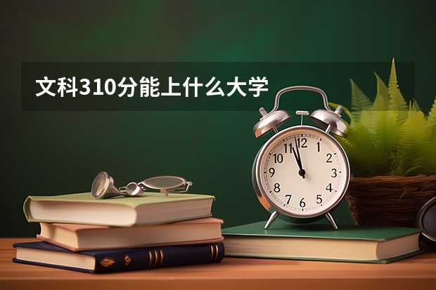 文科310分能上什么大学