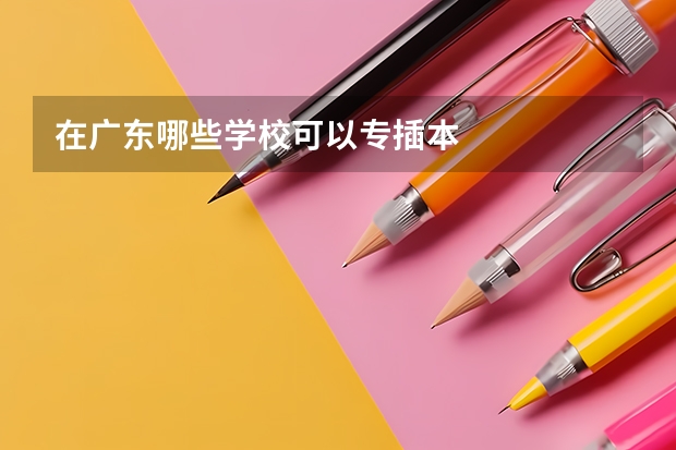 在广东哪些学校可以专插本
