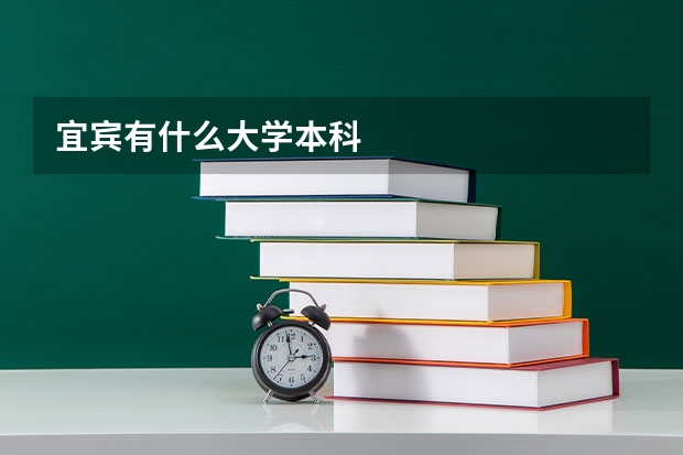 宜宾有什么大学本科