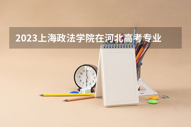 2023上海政法学院在河北高考专业招生计划多少人(历年招生计划)