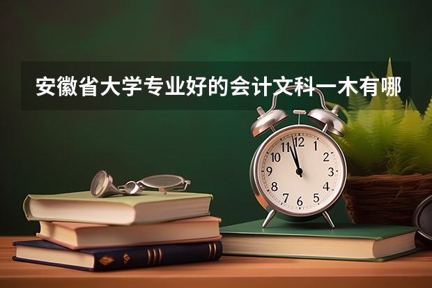 安徽省大学专业好的会计文科一木有哪些