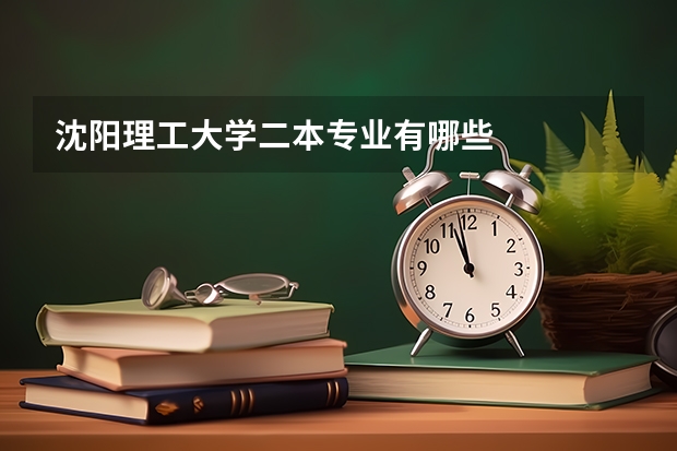 沈阳理工大学二本专业有哪些