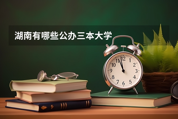 湖南有哪些公办三本大学