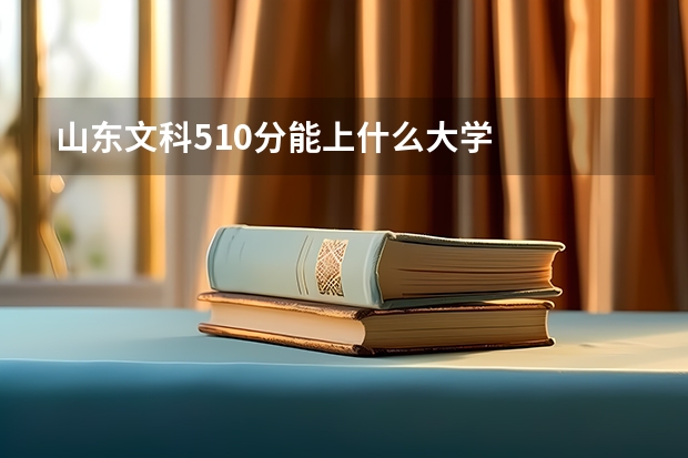 山东文科510分能上什么大学
