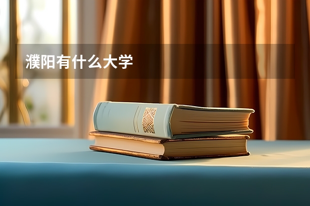 濮阳有什么大学