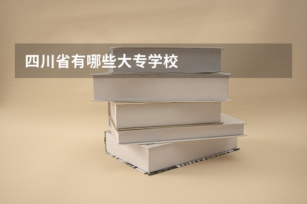 四川省有哪些大专学校