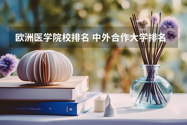 欧洲医学院校排名 中外合作大学排名