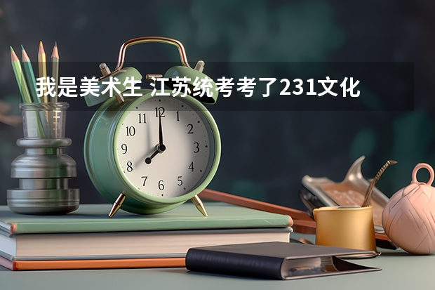 我是美术生 江苏统考考了231文化课 考多少才能上本科