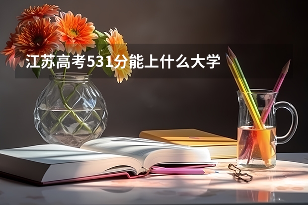 江苏高考531分能上什么大学