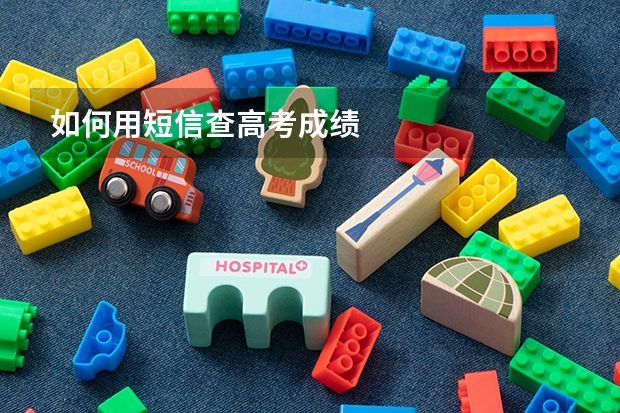 如何用短信查高考成绩