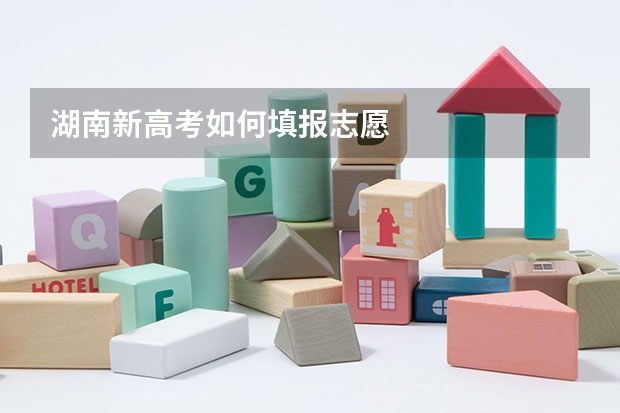 湖南新高考如何填报志愿