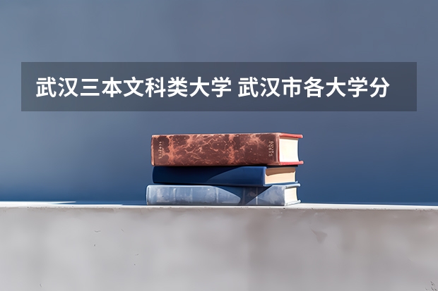 武汉三本文科类大学 武汉市各大学分数线