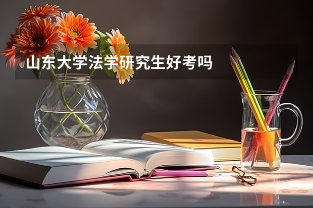 山东大学法学研究生好考吗