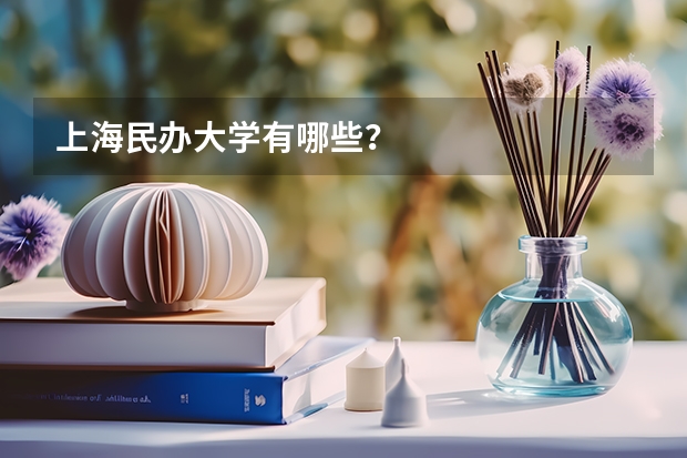 上海民办大学有哪些？
