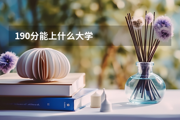 190分能上什么大学