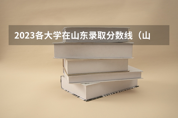 2023各大学在山东录取分数线（山大高考分数线2023）