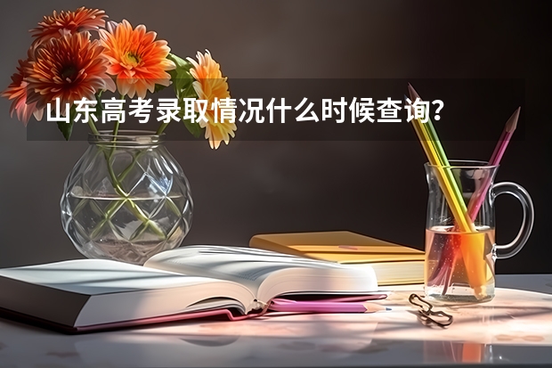 山东高考录取情况什么时候查询？