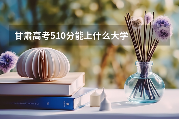 甘肃高考510分能上什么大学