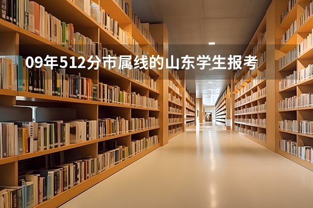 09年512分市属线的山东学生报考有哪些选择