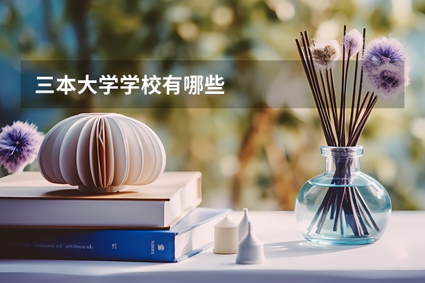 三本大学学校有哪些