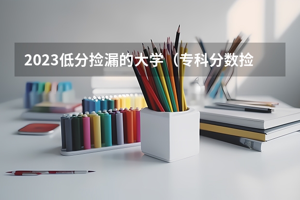 2023低分捡漏的大学（专科分数捡漏的本科学校）