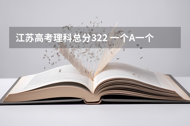 江苏高考理科总分322 一个A一个B加 排名是114211能上公办二本吗？