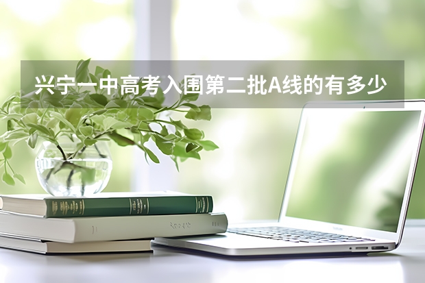 兴宁一中高考入围第二批A线的有多少人