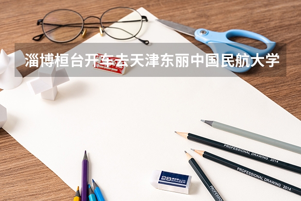 淄博桓台开车去天津东丽中国民航大学空乘学院怎么走
