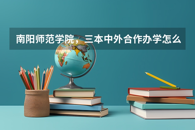 南阳师范学院，三本中外合作办学怎么样