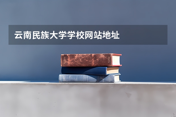 云南民族大学学校网站地址