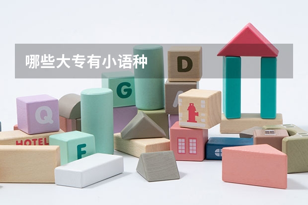 哪些大专有小语种