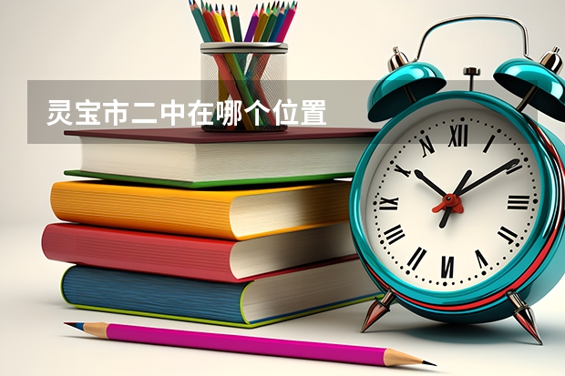 灵宝市二中在哪个位置