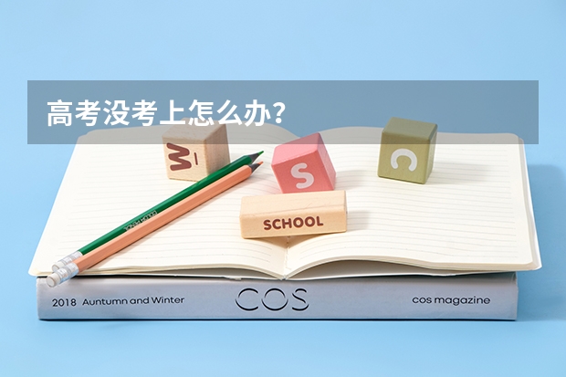 高考没考上怎么办?