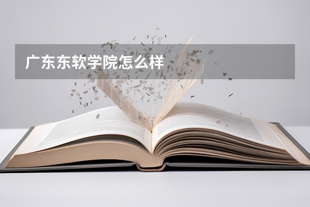 广东东软学院怎么样