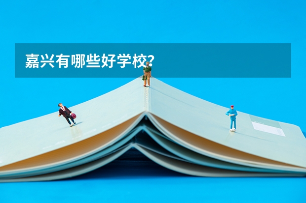 嘉兴有哪些好学校？