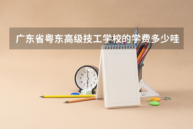 广东省粤东高级技工学校的学费多少哇？