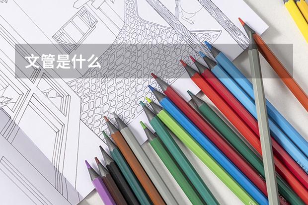 文管是什么