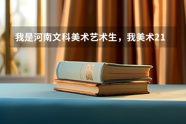 我是河南文科美术艺术生，我美术211分，文化大概多少能上黄淮学院呢？