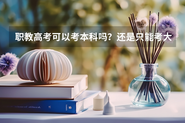 职教高考可以考本科吗？还是只能考大专？