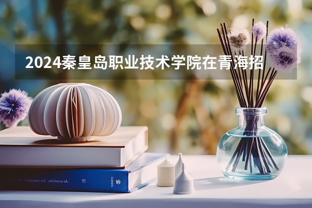 2024秦皇岛职业技术学院在青海招生计划介绍