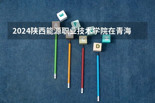 2024陕西能源职业技术学院在青海招生计划介绍