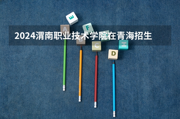 2024渭南职业技术学院在青海招生计划介绍
