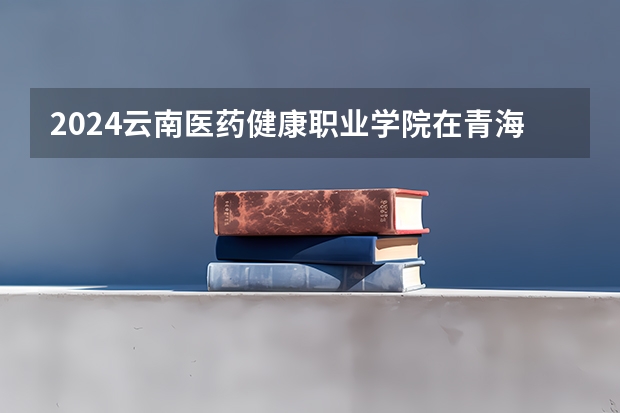 2024云南医药健康职业学院在青海招生计划介绍