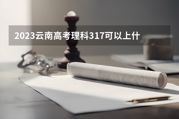 2023云南高考理科317可以上什么大学