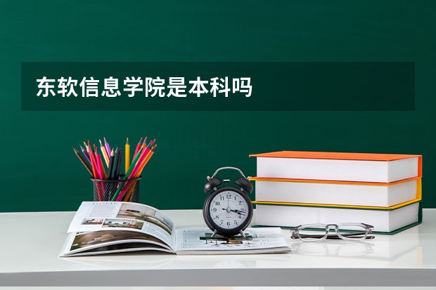 东软信息学院是本科吗