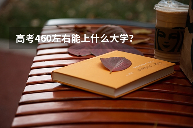 高考460左右能上什么大学?