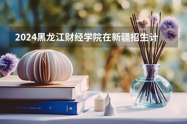 2024黑龙江财经学院在新疆招生计划介绍