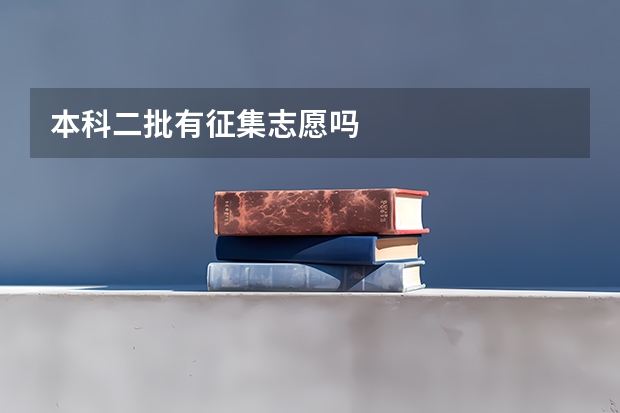 本科二批有征集志愿吗